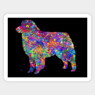 Australian shepherd dog Sticker